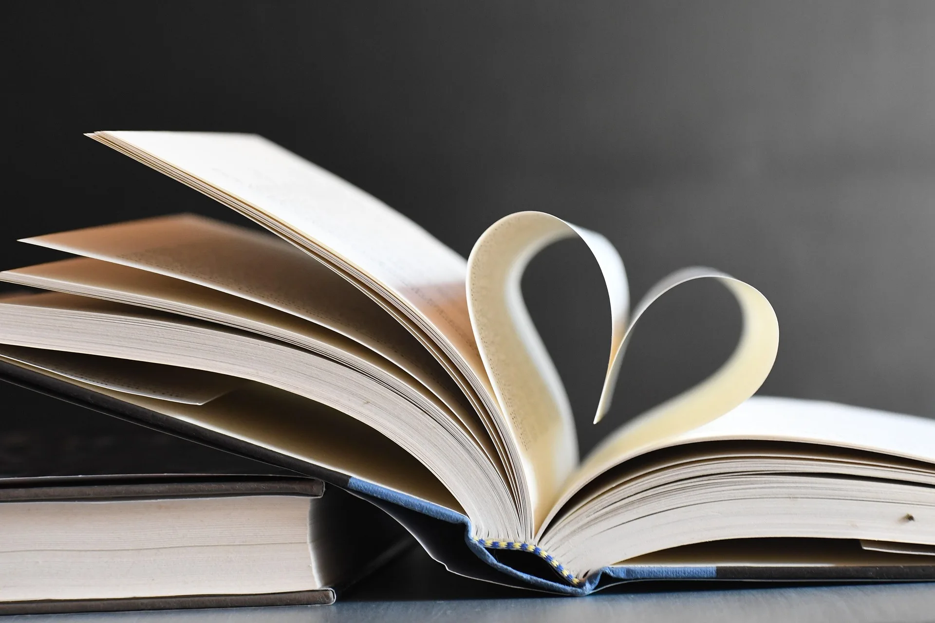 veronika_andrews-books-5615562_1920